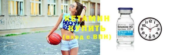 крисы Няндома